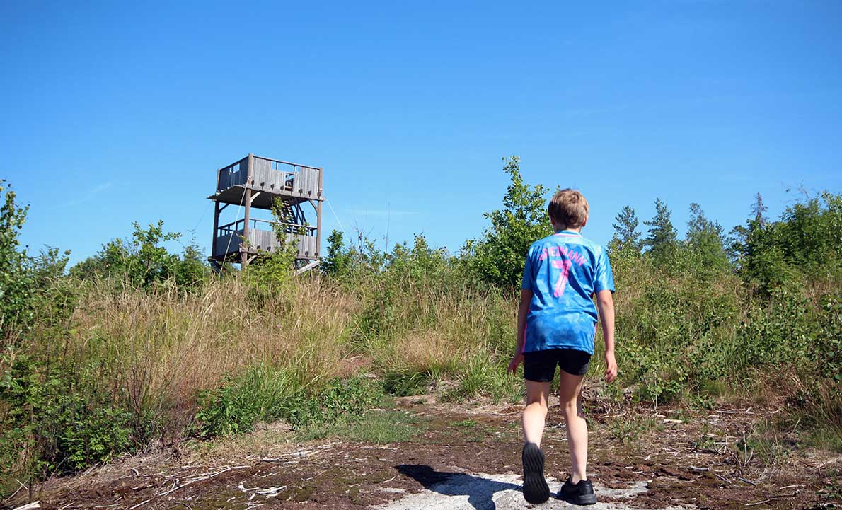Kuvituskuva: lintutorni ja poika