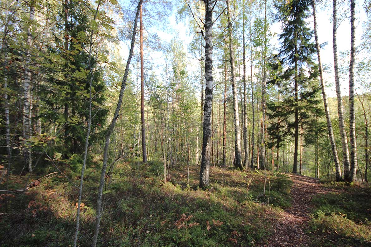 Muuralan hirttopaikka