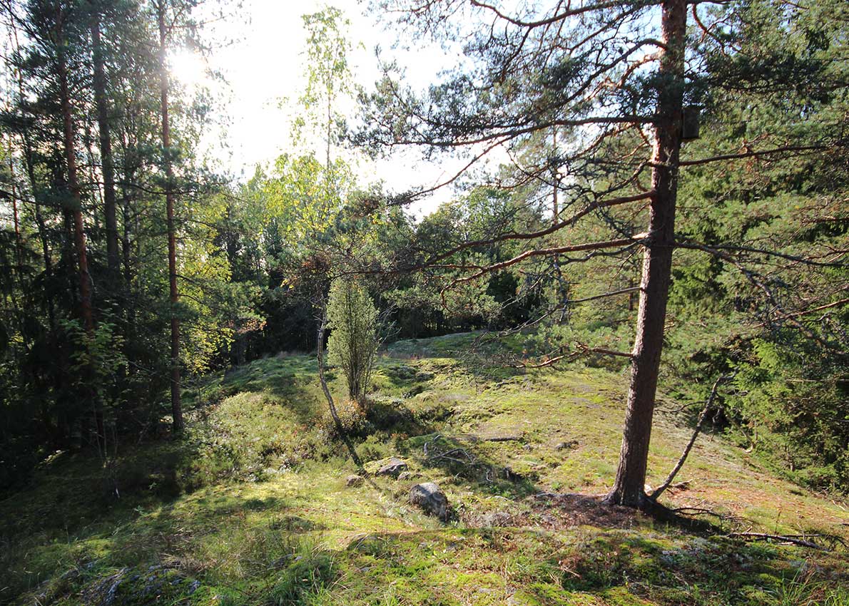 Muuralan hirttopaikka