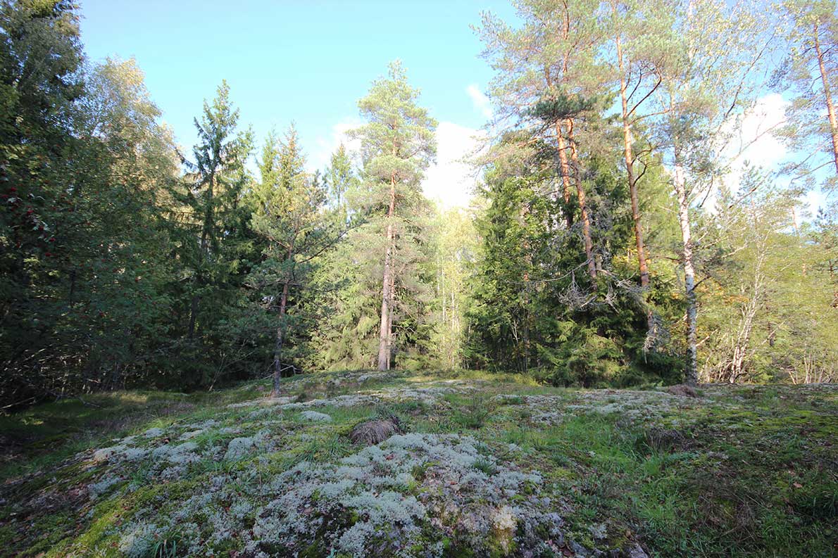 Muuralan hirttopaikka