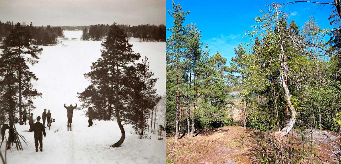 Matarskärin mäki ennen ja nyt