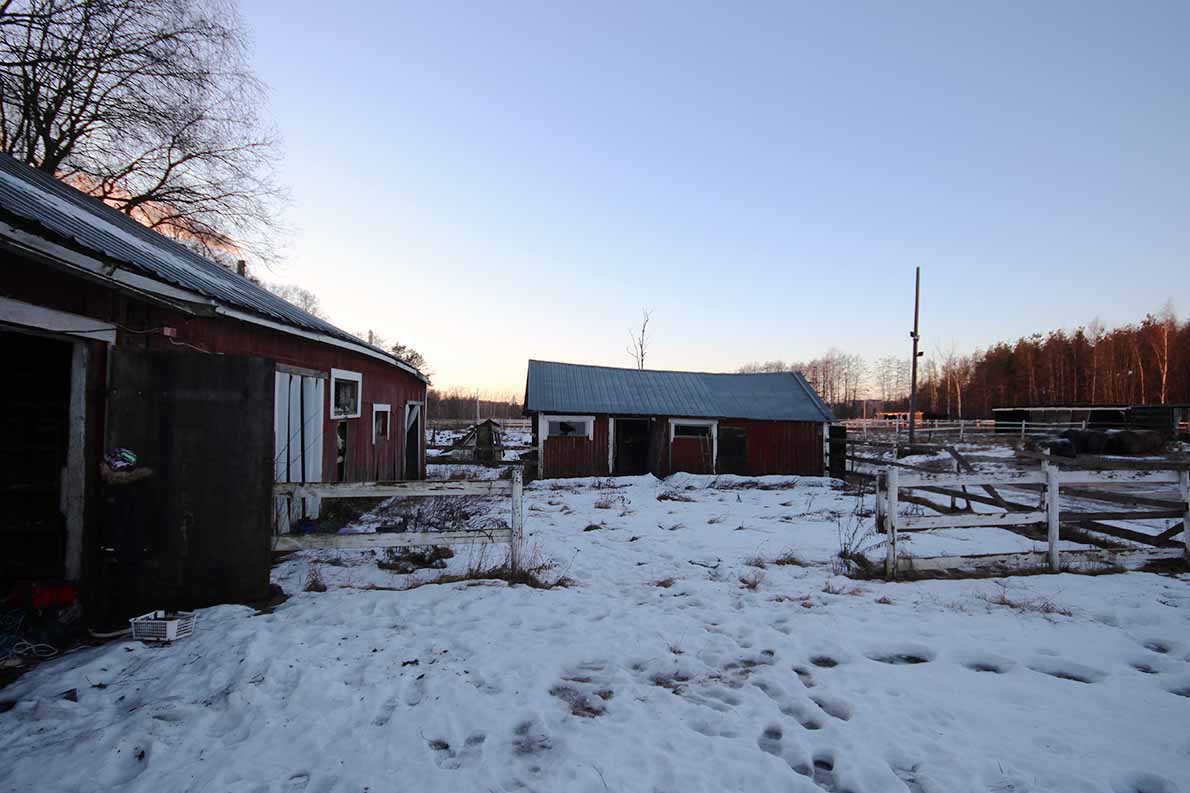 Matinkylän ratsastustallin jäänteet, Espoo.