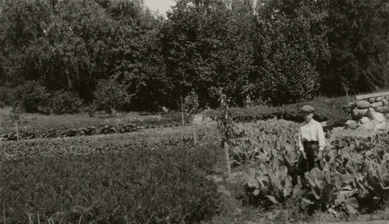 Otaniemen kartano.