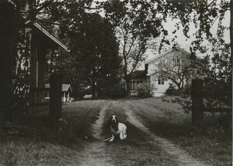 Sunan tilan päärakennus 1976.