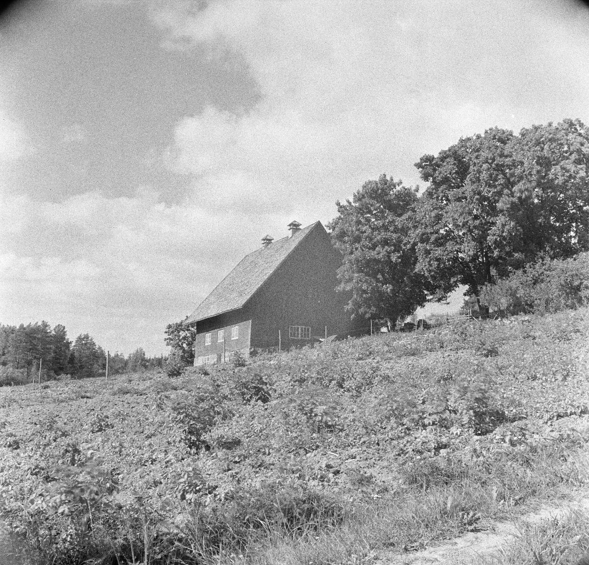 Velskolan sikala 1937.