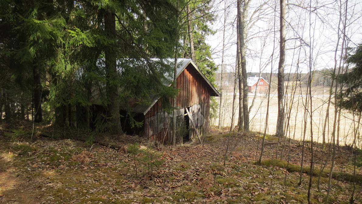 Soderskog, lato.