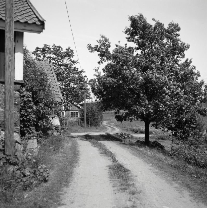 Söderskog peltotie koilliseen