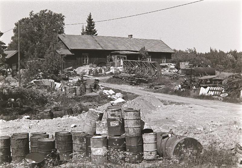 Skogbisan tila 1978