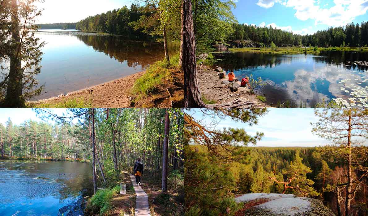 Nuuksio-kuvituskuva