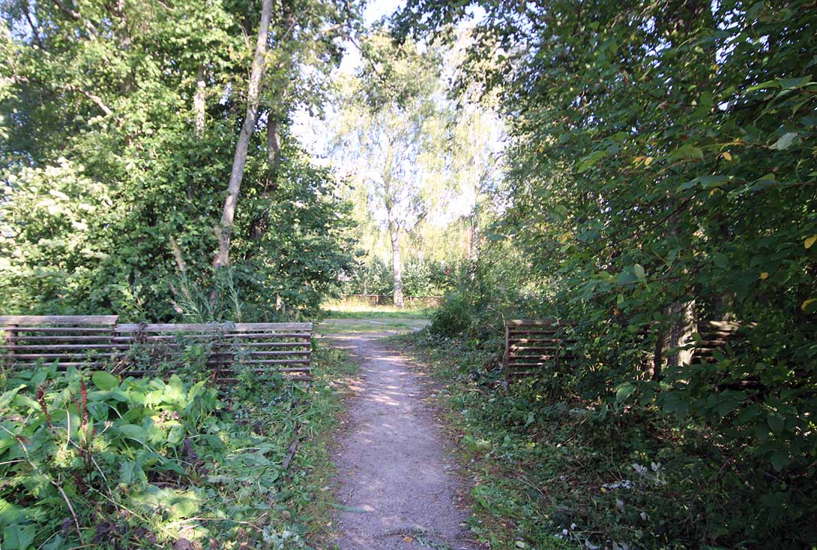 Kuninkaantien lukio, Espoo.