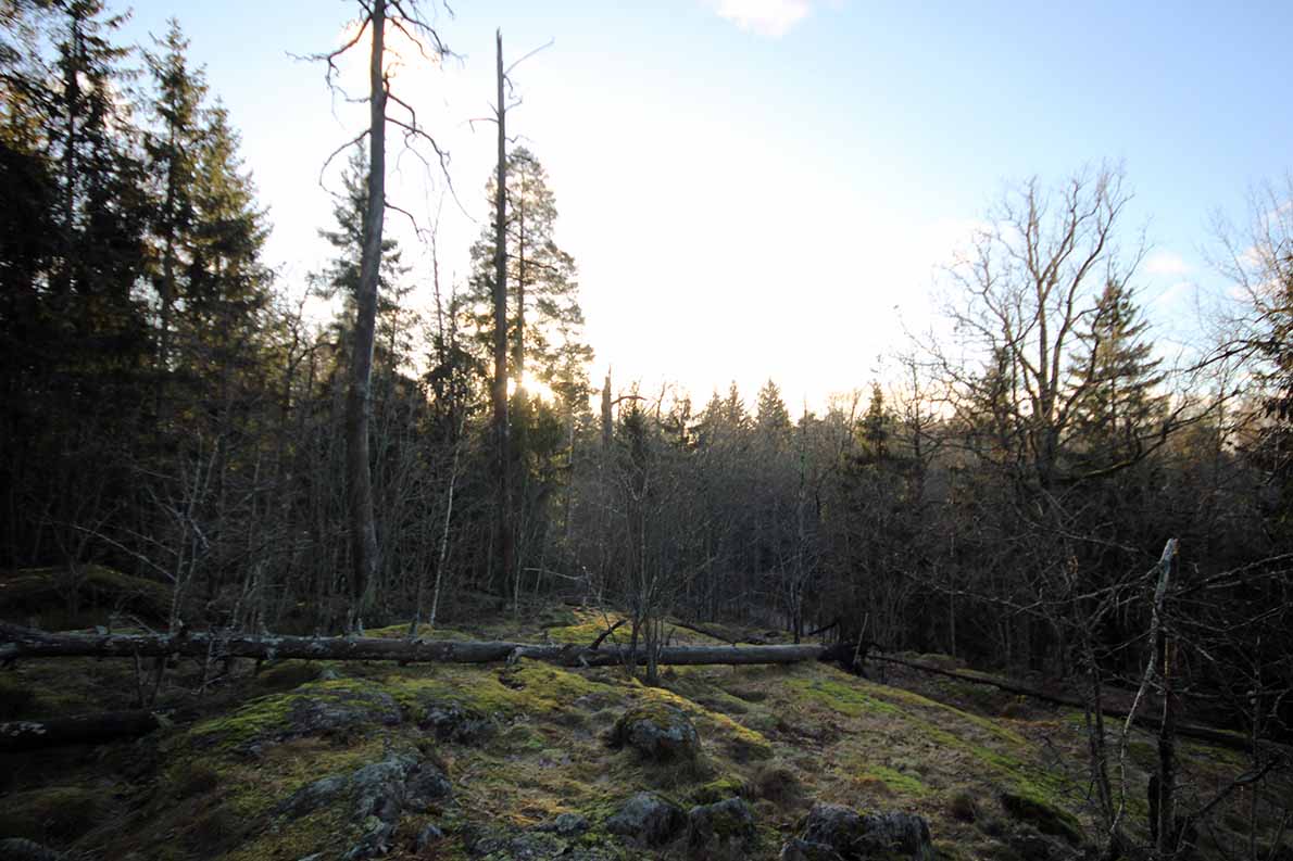 Laaksolahden kuntoportaat, Espoo.