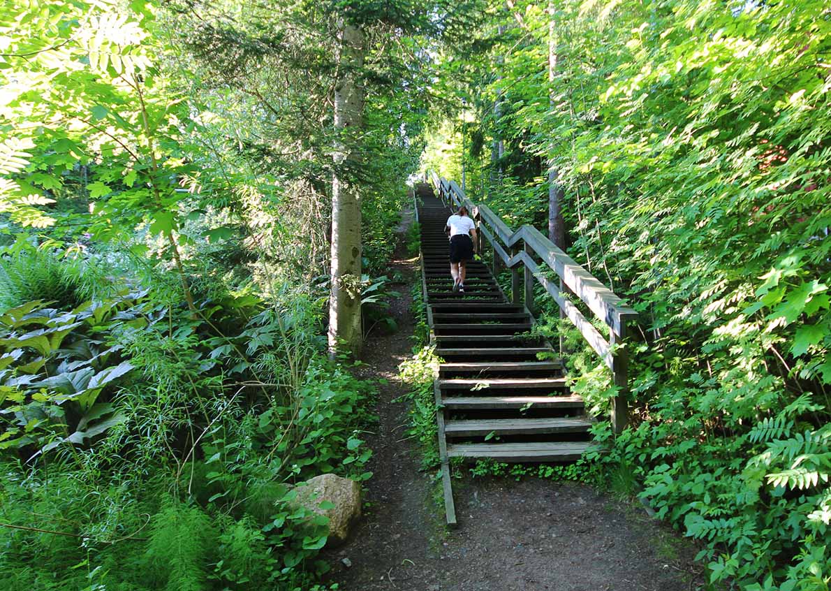 Pitkäjärventien varren portaat, Espoo.
