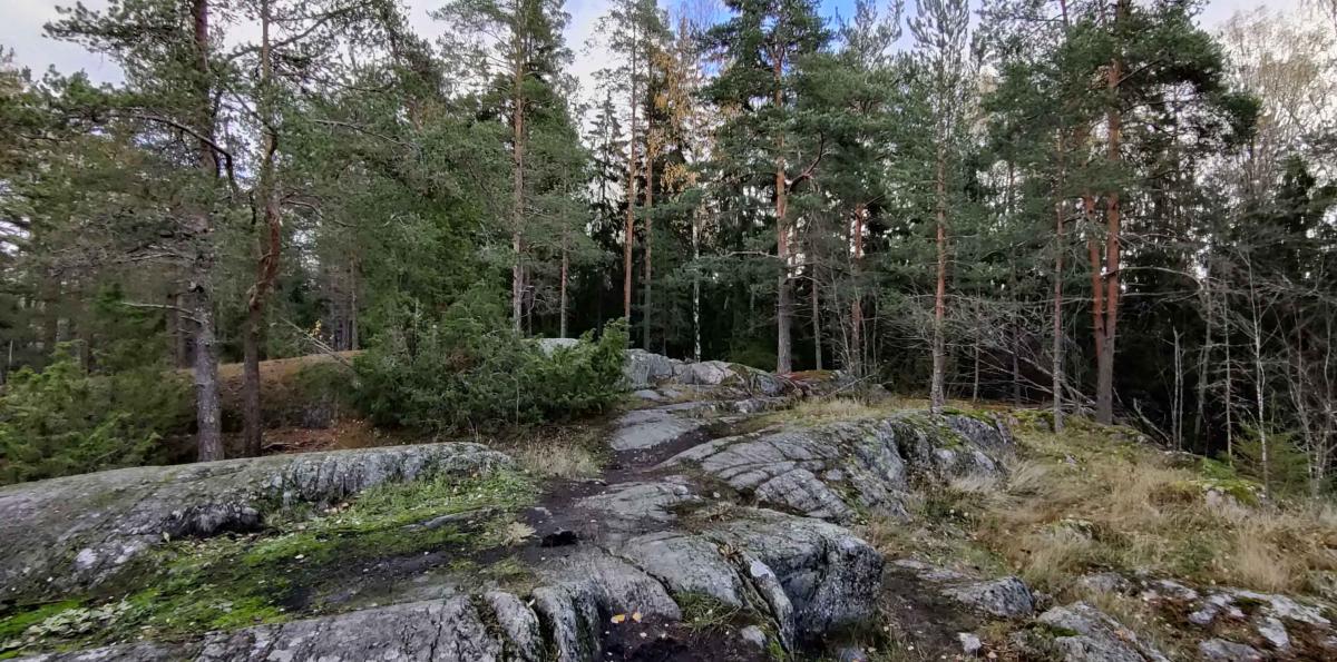 Tuomarilan kuntoportaat, Espoo.