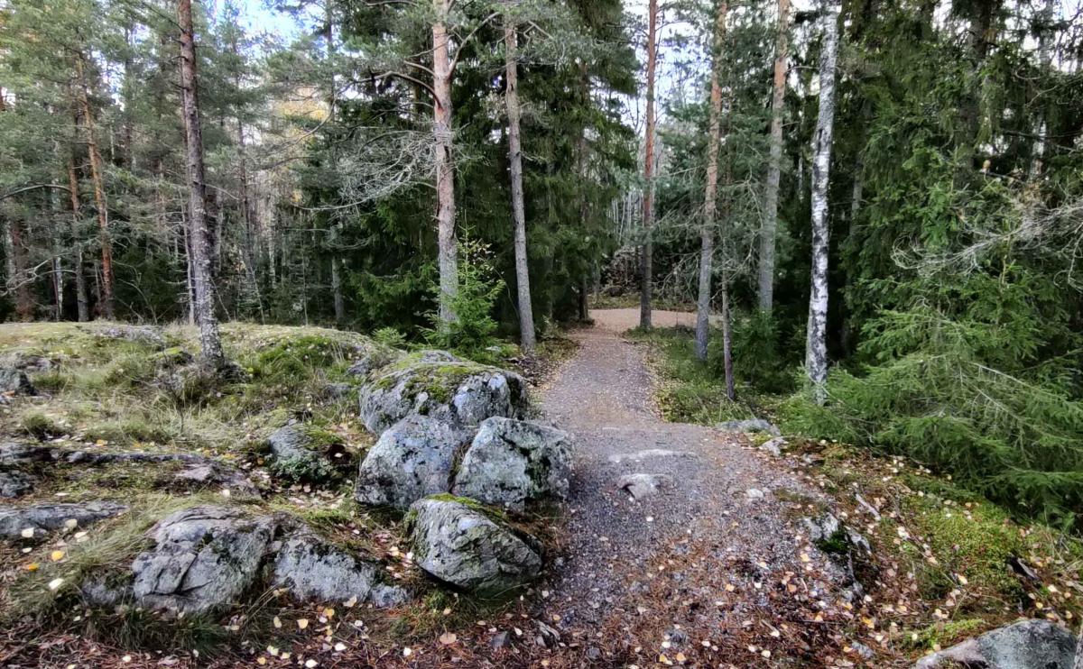 Tuomarilan kuntoportaat, Espoo.