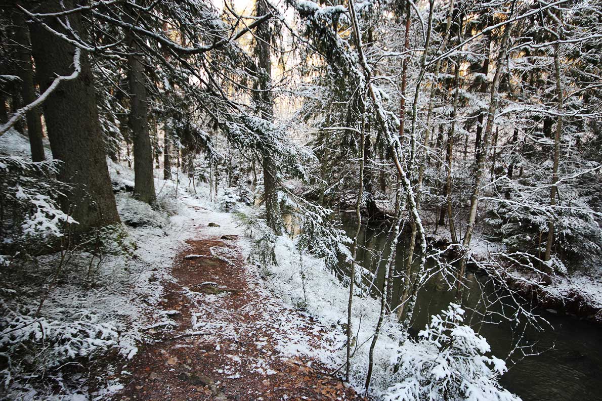 Oittaan luontopolku, Espoo