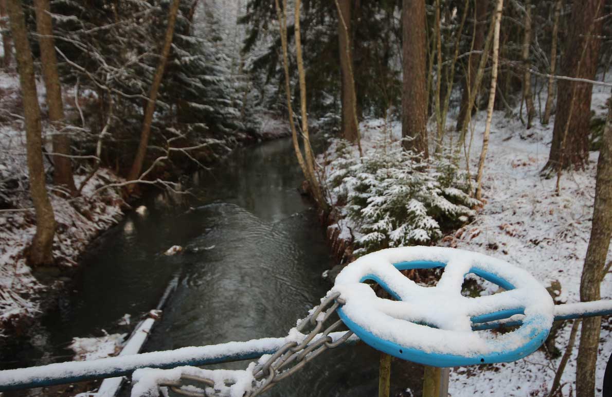Oittaan luontopolku, Espoo