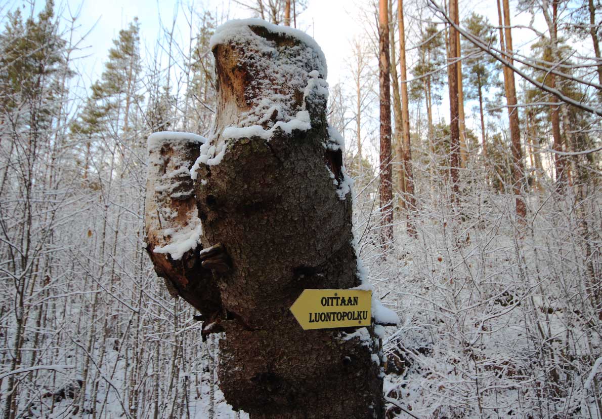 Oittaan luontopolku, Espoo