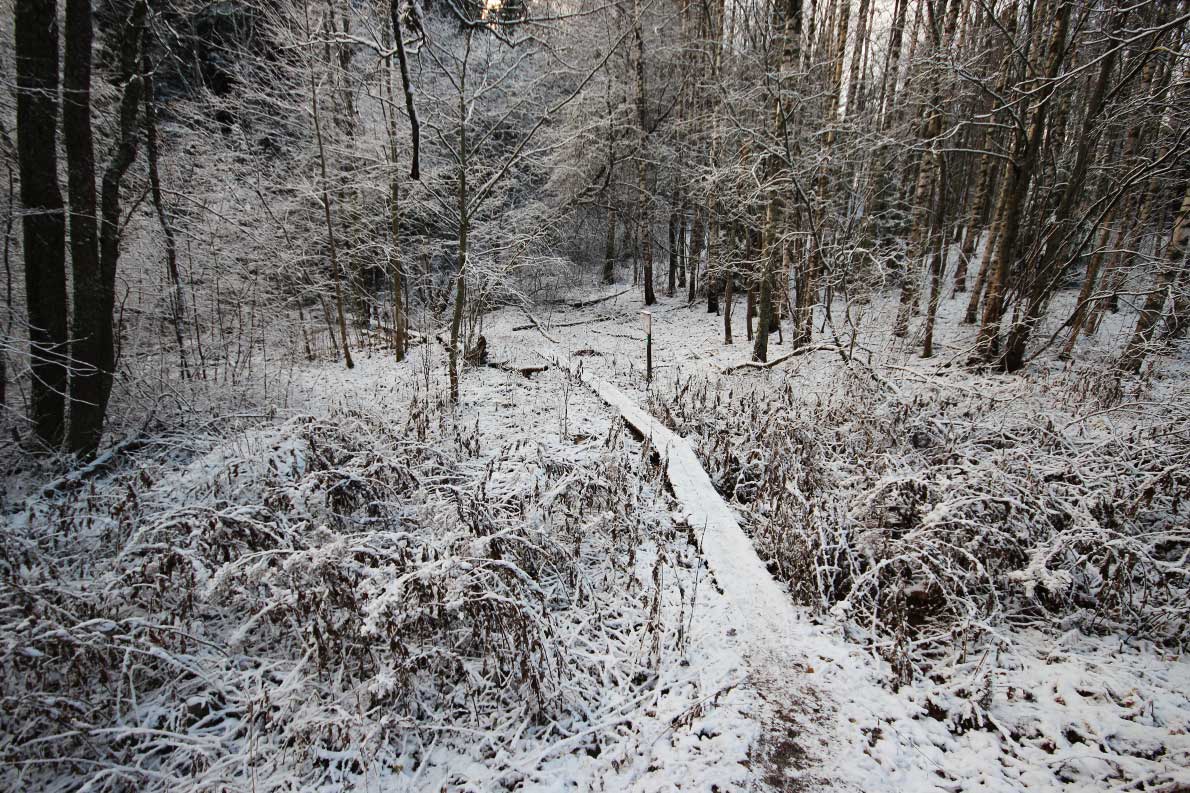 Oittaan luontopolku, Espoo