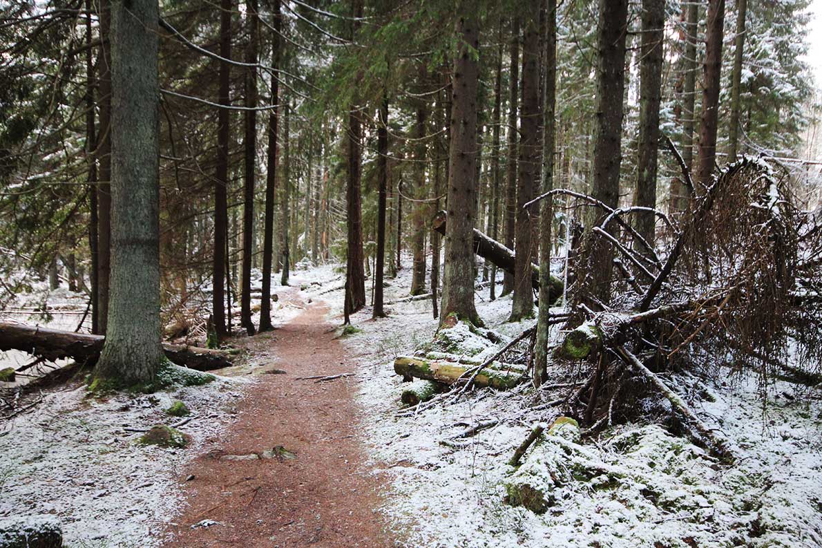 Oittaan luontopolku, Espoo