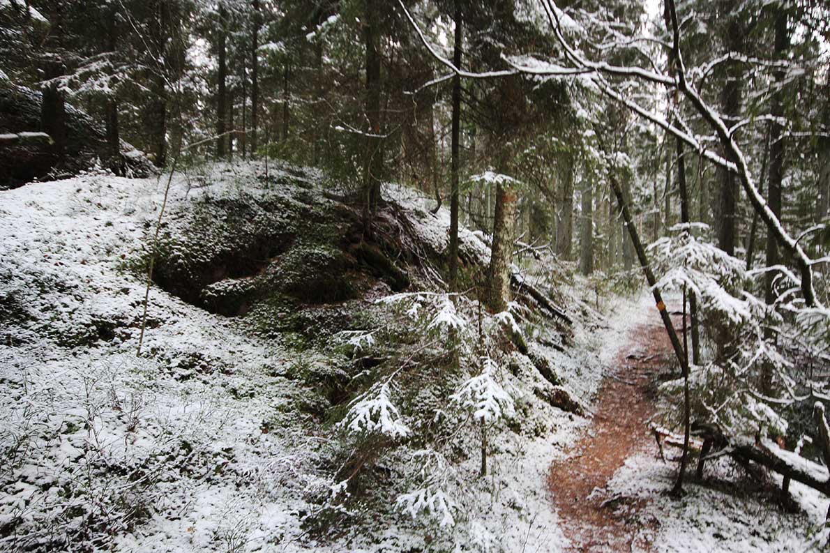 Oittaan luontopolku, Espoo