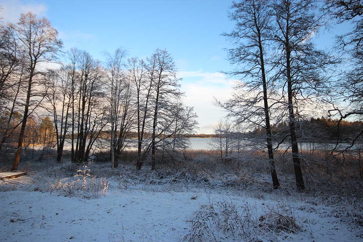 Oittaan luontopolku, Espoo