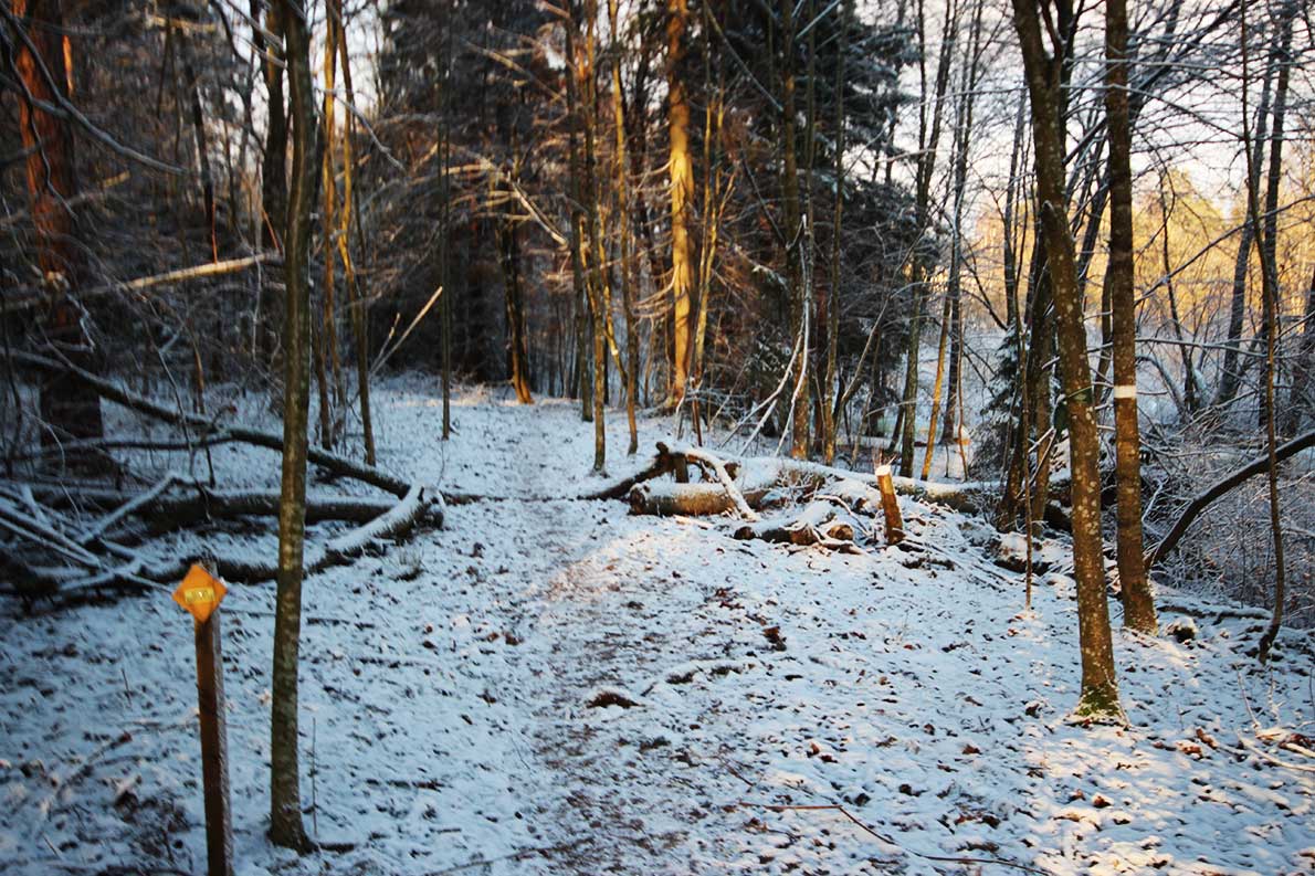 Oittaan luontopolku, Espoo