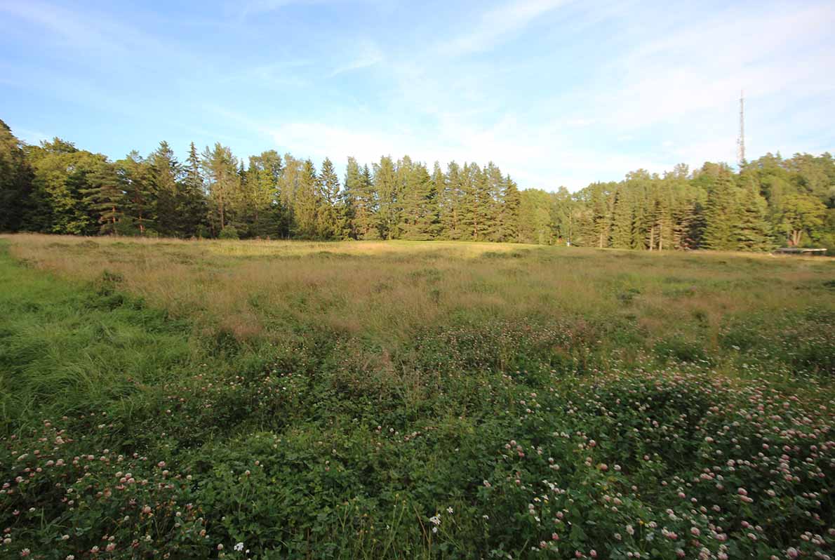 Pörriäisniitty, Espoon keskus.