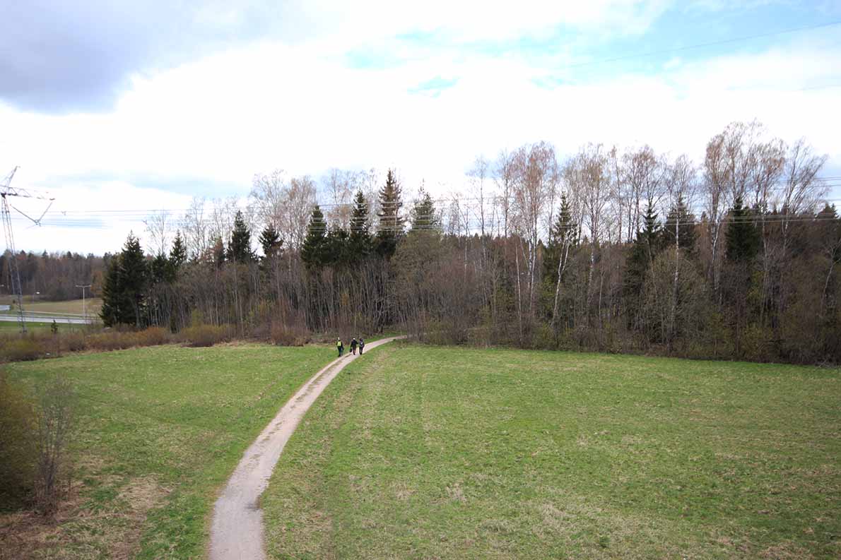 Pitkäjärven lintutorni, Vantaa