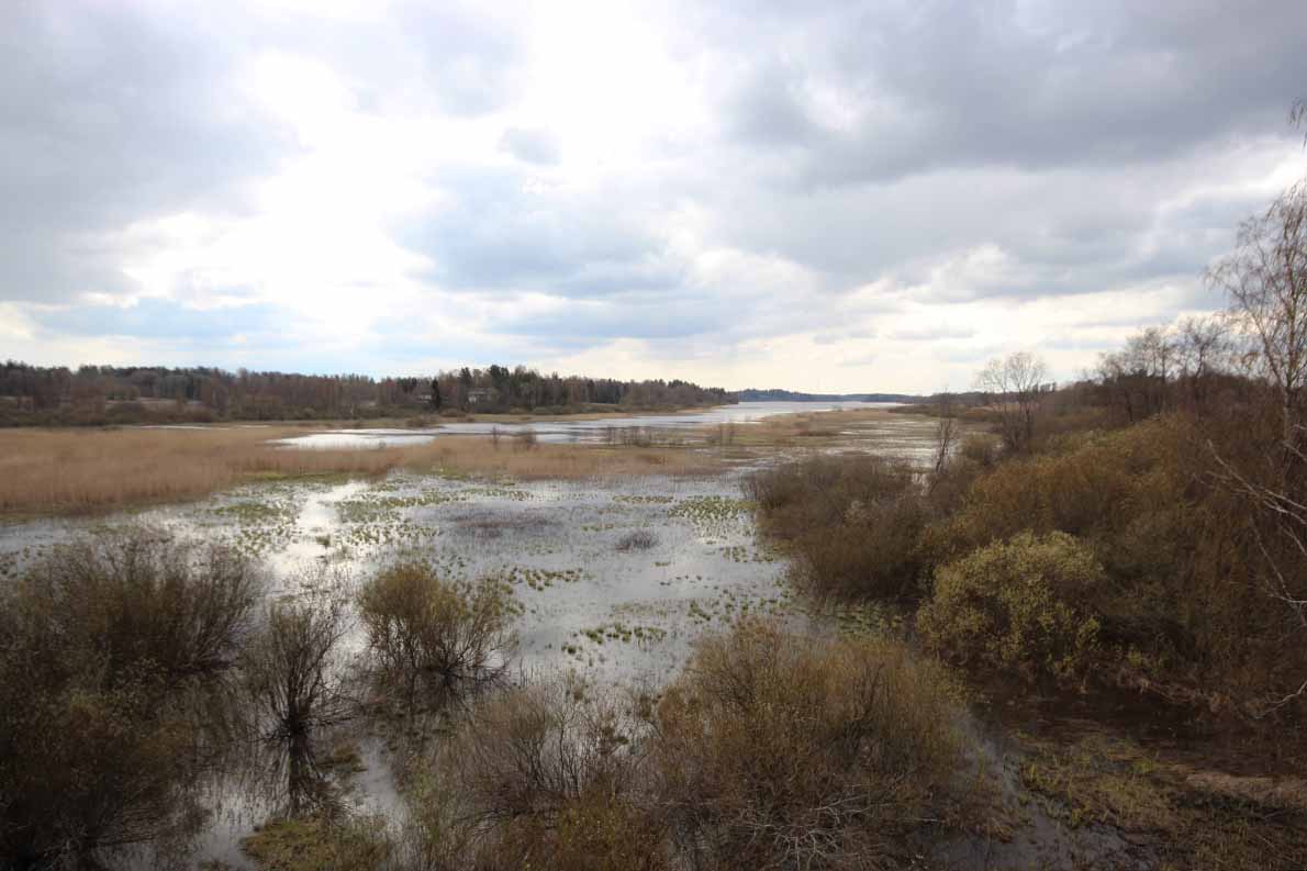 Pitkäjärven lintutorni, Vantaa