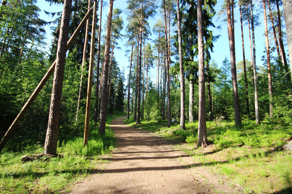 Jerikon kuntoportaat, Kirkkonummi