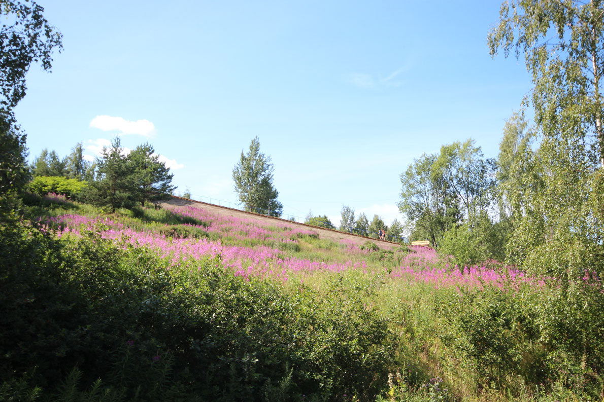 Möskarin kuntoportaat, Vantaa