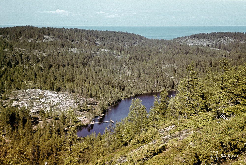 Lounatkorkia, Suursaari