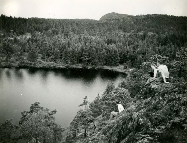 Ruokolahdenjärvi, Suursaari