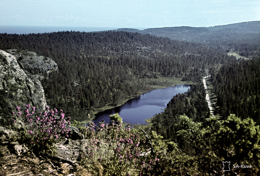 Suursaari