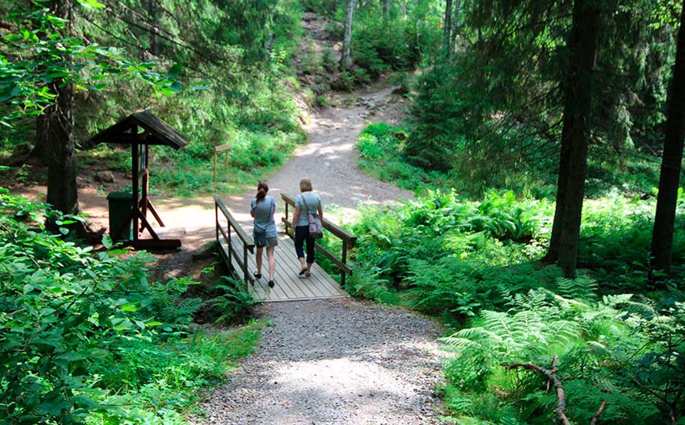 Torisevan rotkojärvet