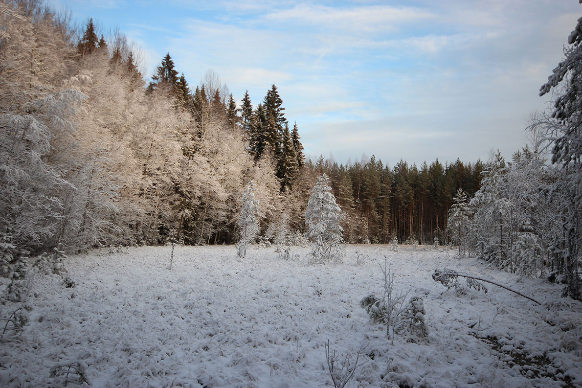 Tremanskärrin suo ja luontopolku