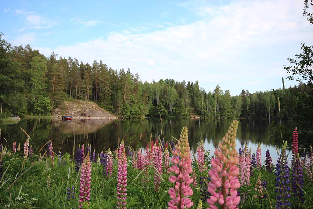 Dämman, Espoo