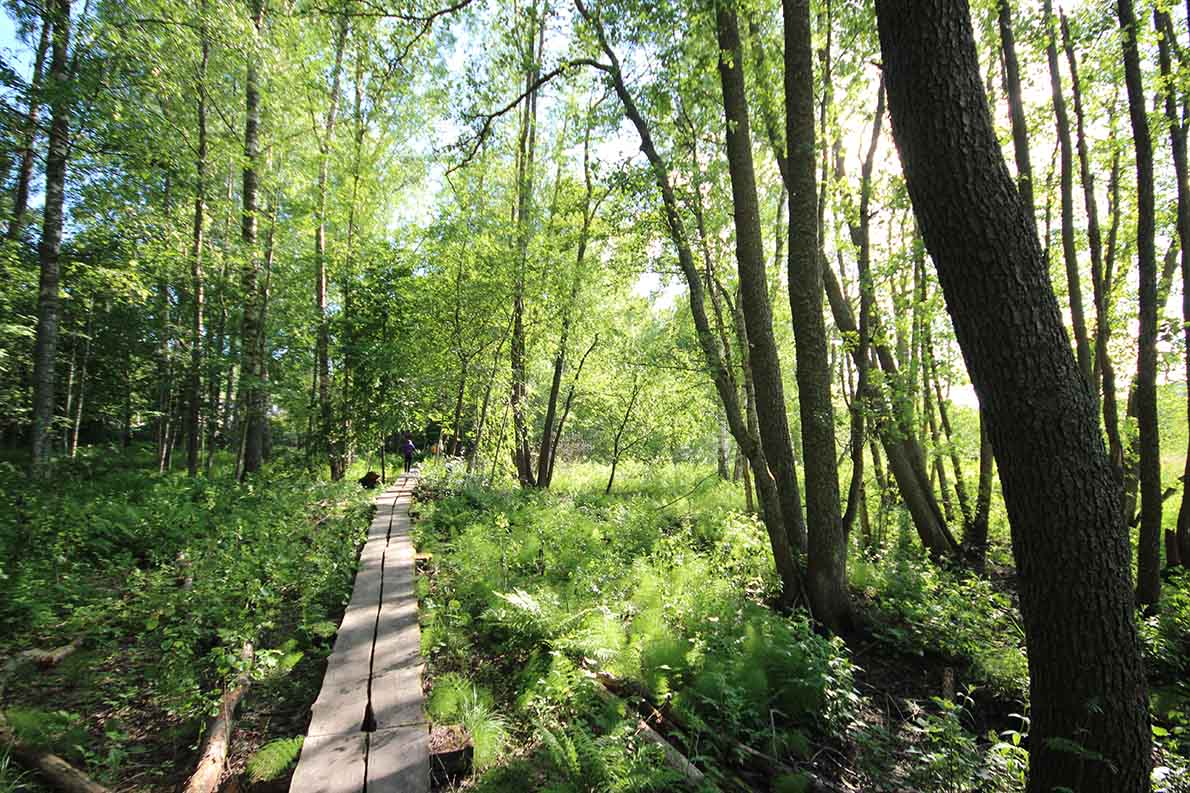 Hanikan luontopolku, Espoo.