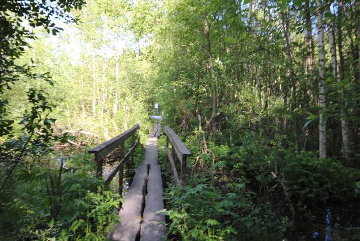 Hanikan luontopolku, Espoo.