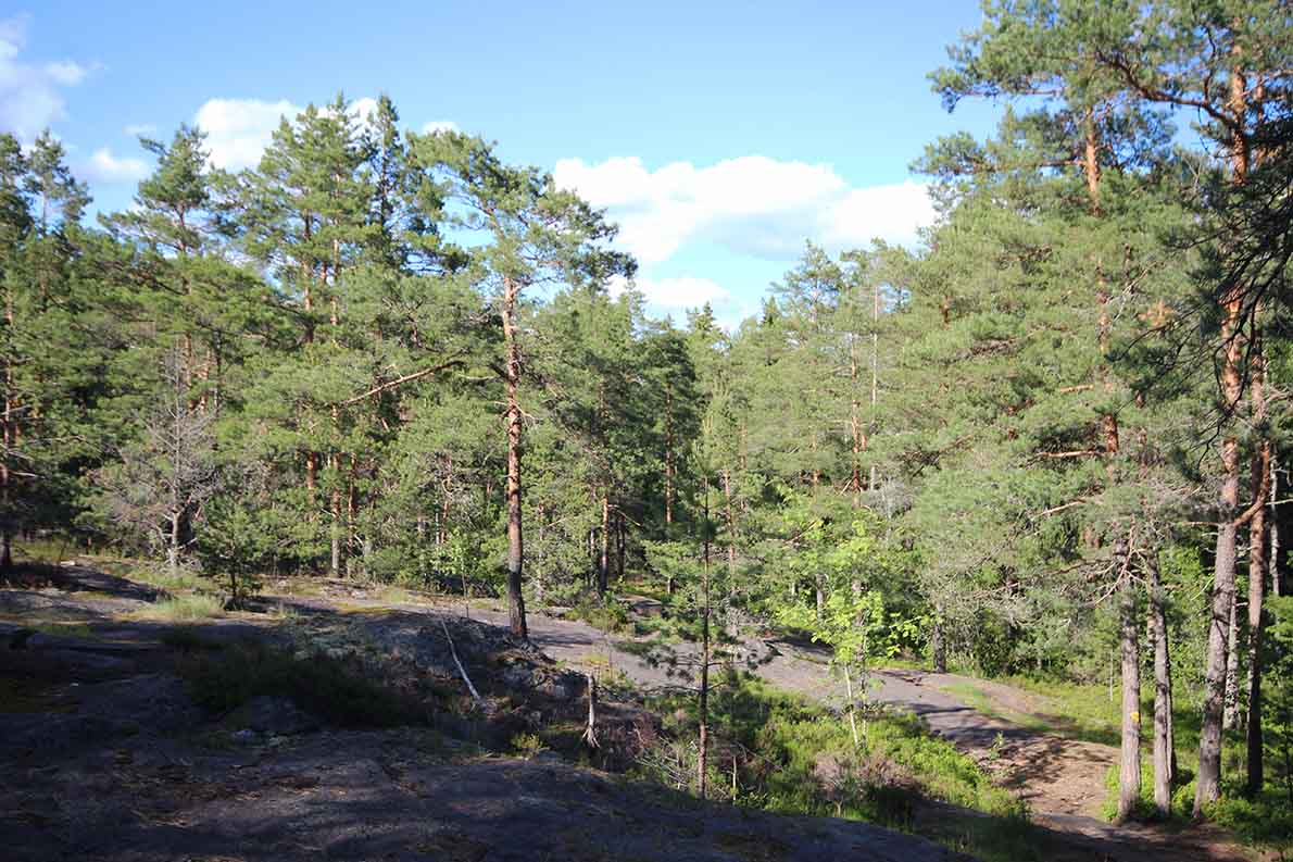 Hanikan luontopolku, Espoo.
