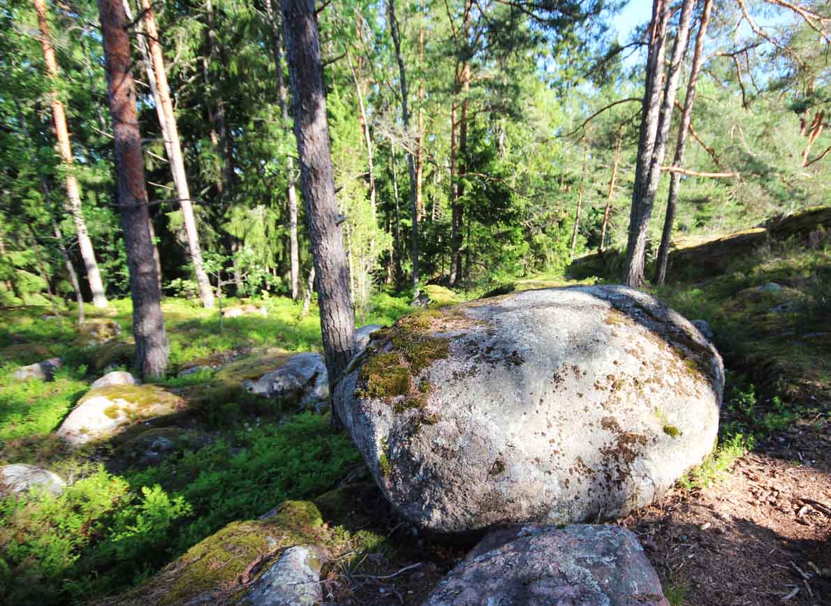 Hanikan luontopolku, Espoo.