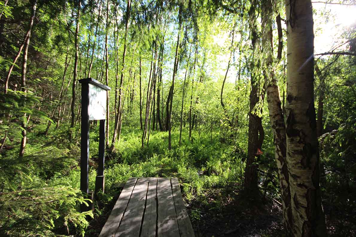 Hanikan luontopolku, Espoo.
