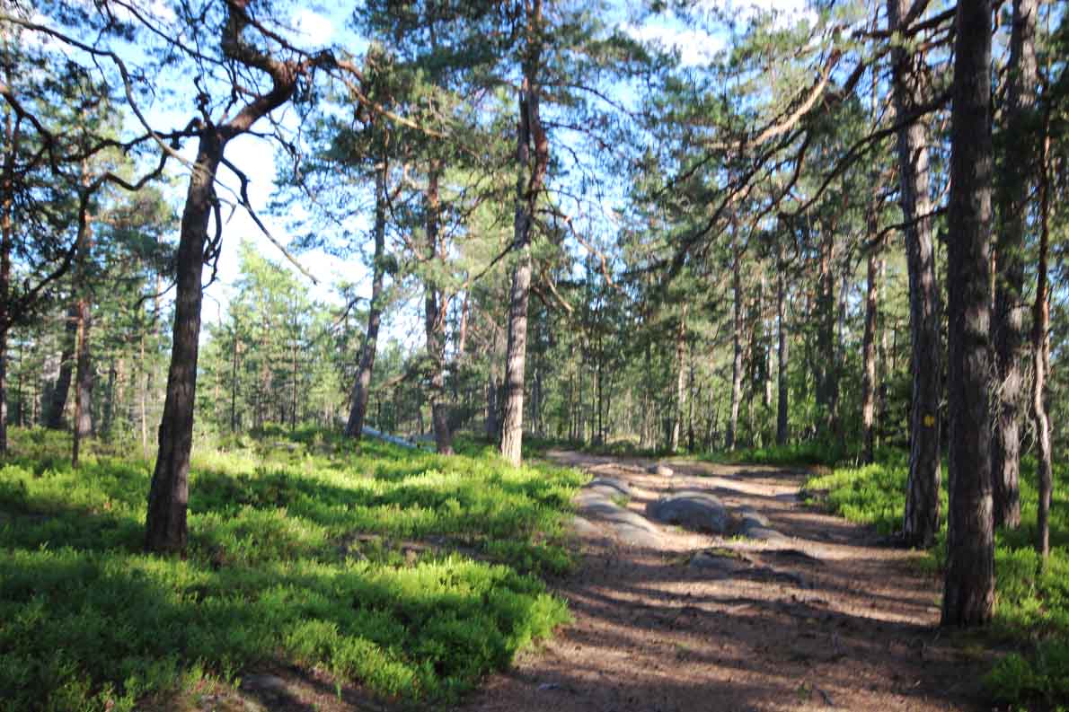 Hanikan luontopolku, Espoo.