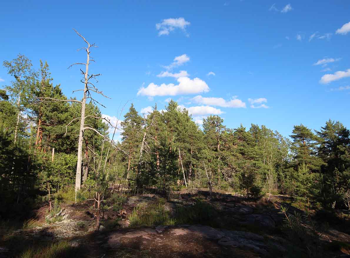 Hanikan luontopolku, Espoo.