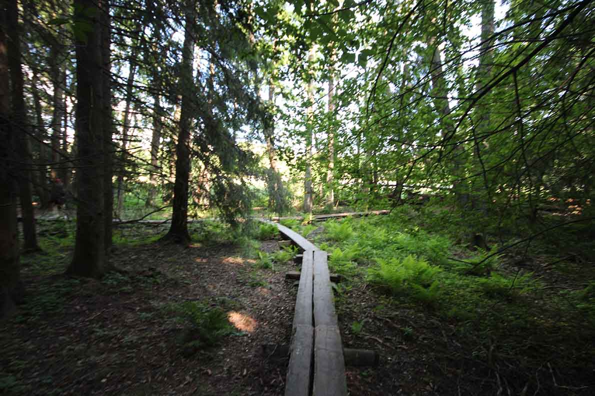 Hanikan luontopolku, Espoo.
