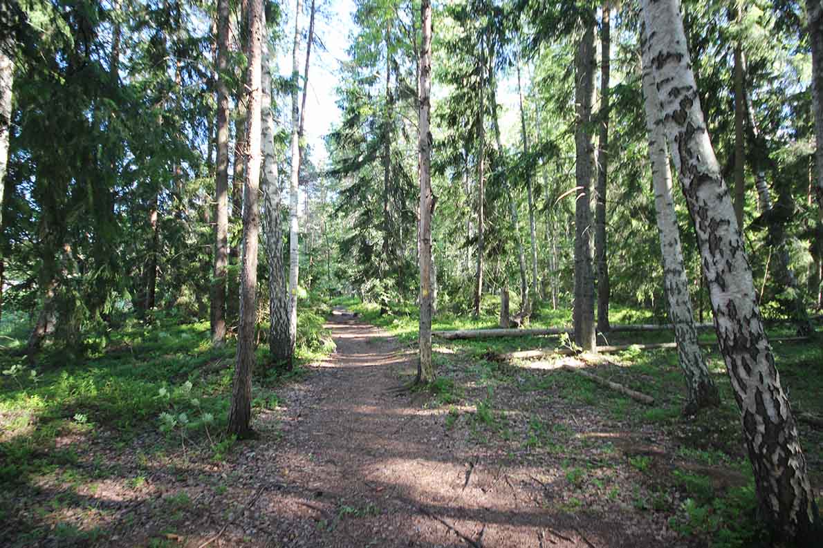 Hanikan luontopolku, Espoo.