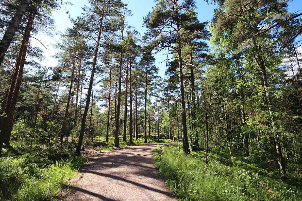 Hanikan luontopolku, Espoo.
