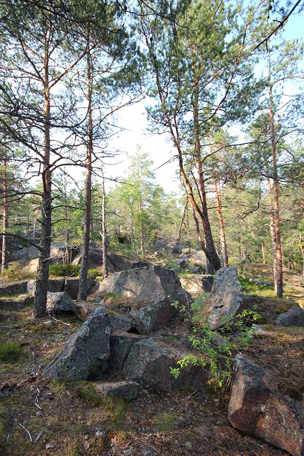 Hannusmetsän luontopolku, Espoo