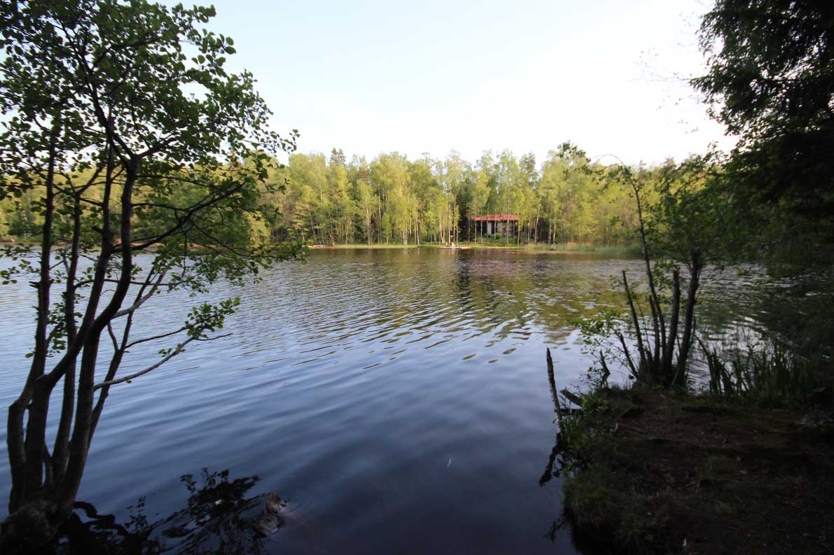 Hannusmetsän luontopolku, Espoo