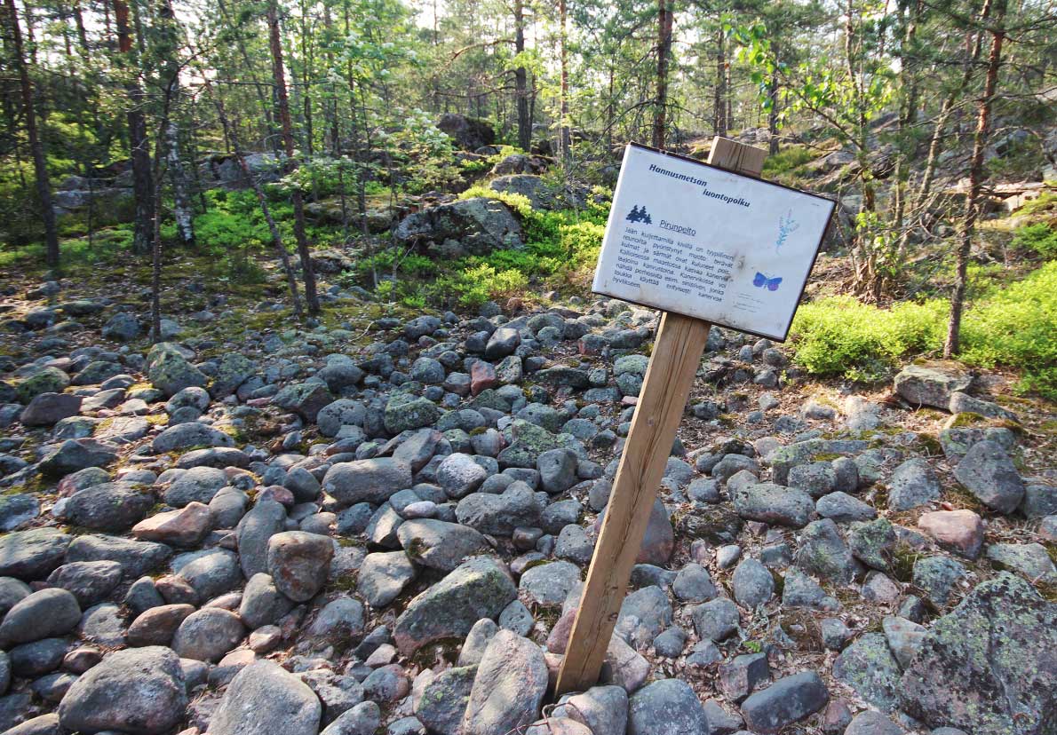 Bondasbergenin pirunpelto, Espoo